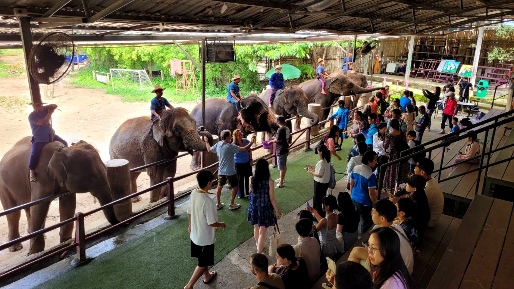 メーテンエレファントパーク