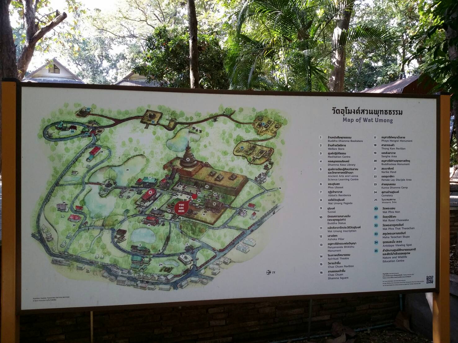 ワット ウモーン004