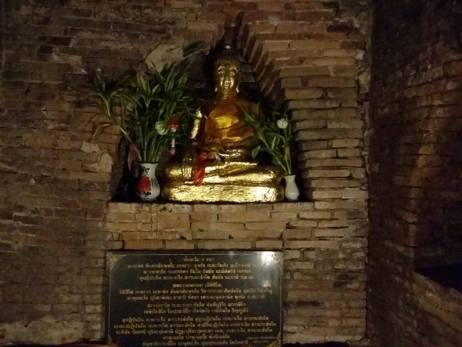 ワット ウモーン005