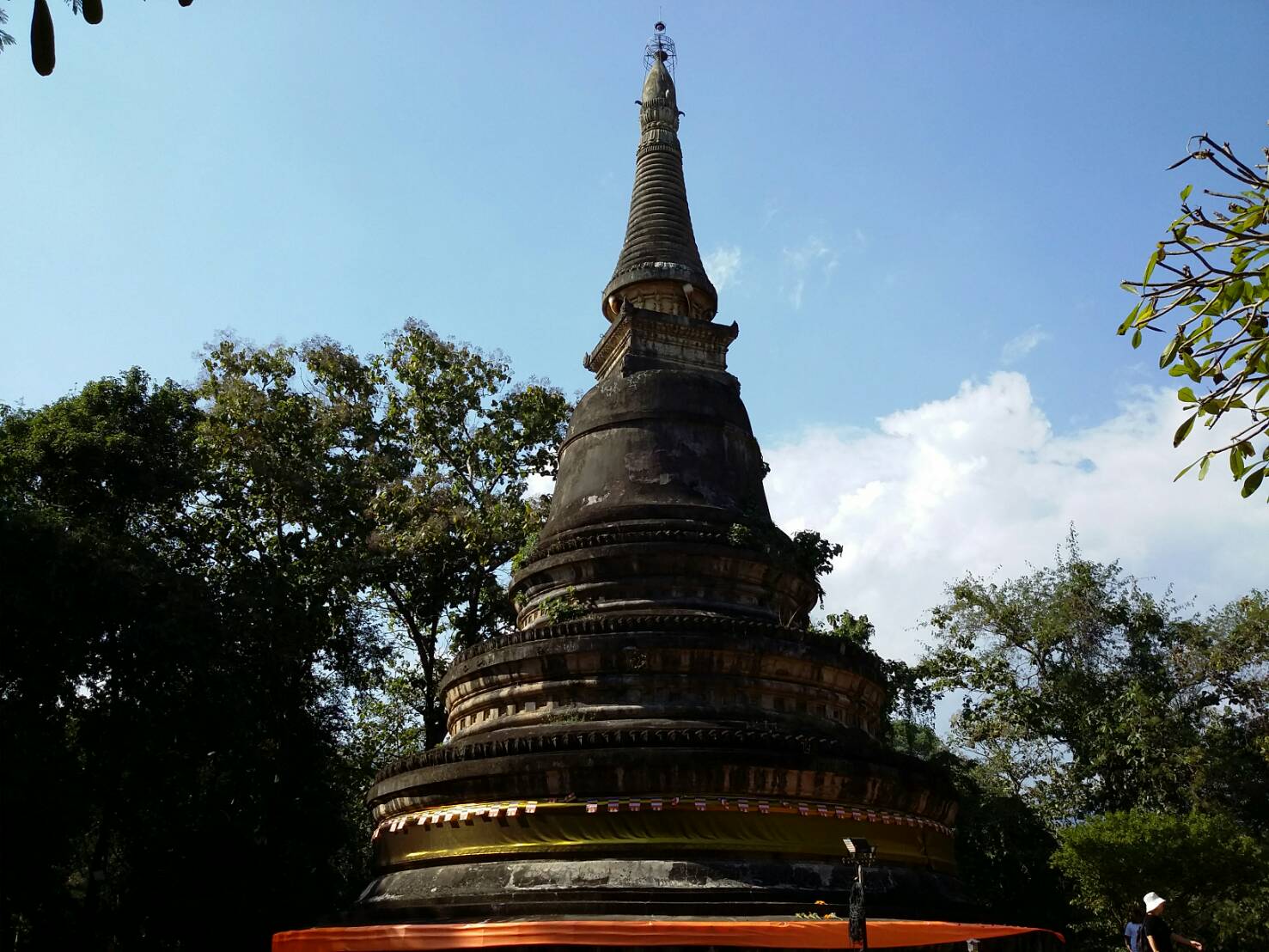 ワット ウモーン001