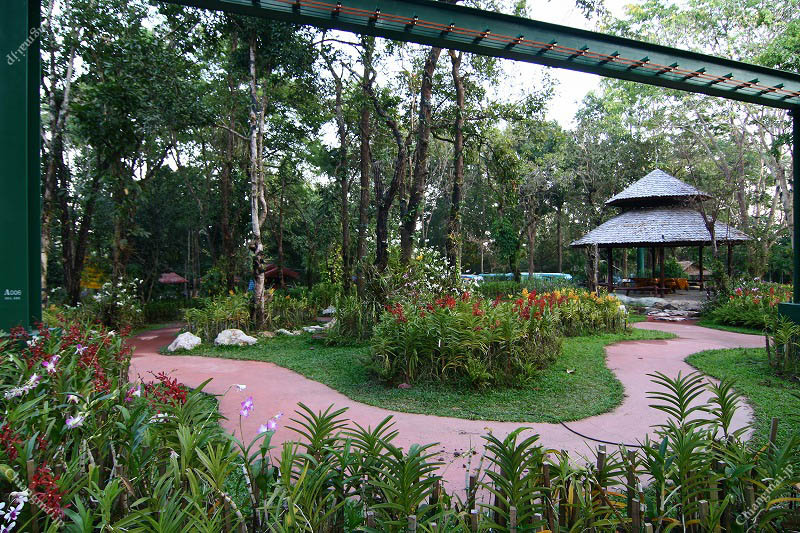チェンマイ動物園
