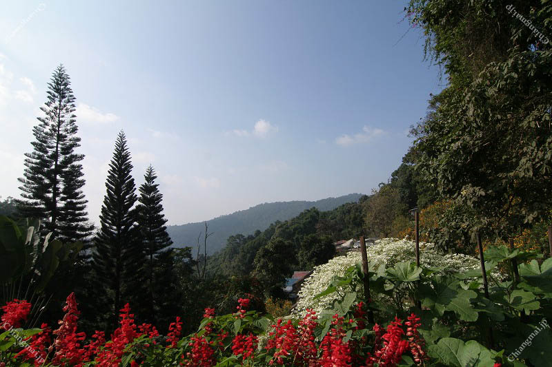 メオ・トライバル・ビレッジ（ドイ・プイ モン族の村）